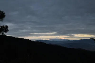 DSC_0125 (Large).JPG